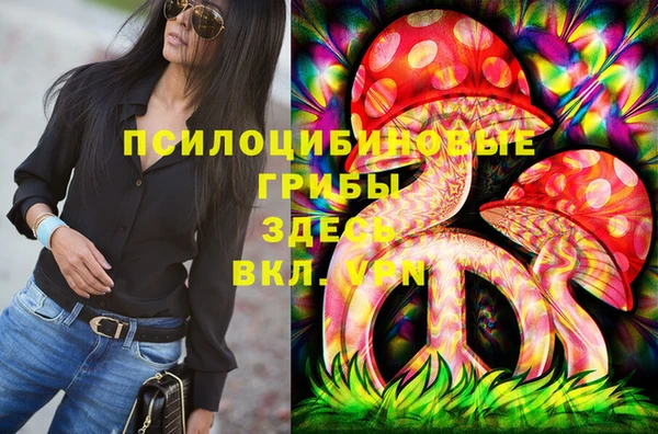 дурь Балахна