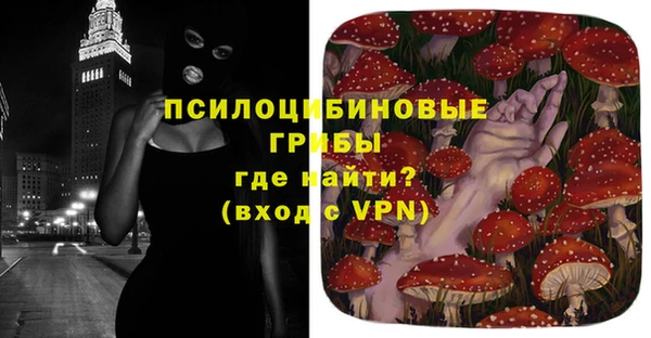 дурь Балахна