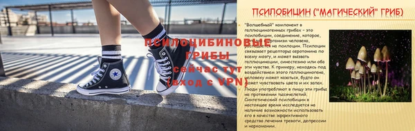 дурь Балахна