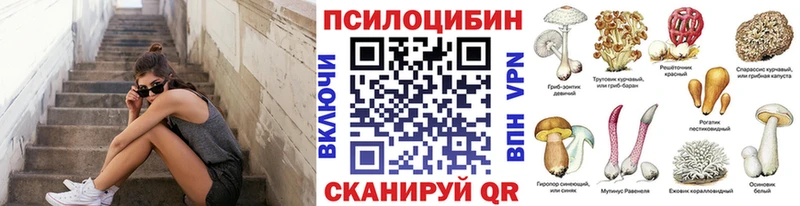 Галлюциногенные грибы Psilocybe  Лениногорск 